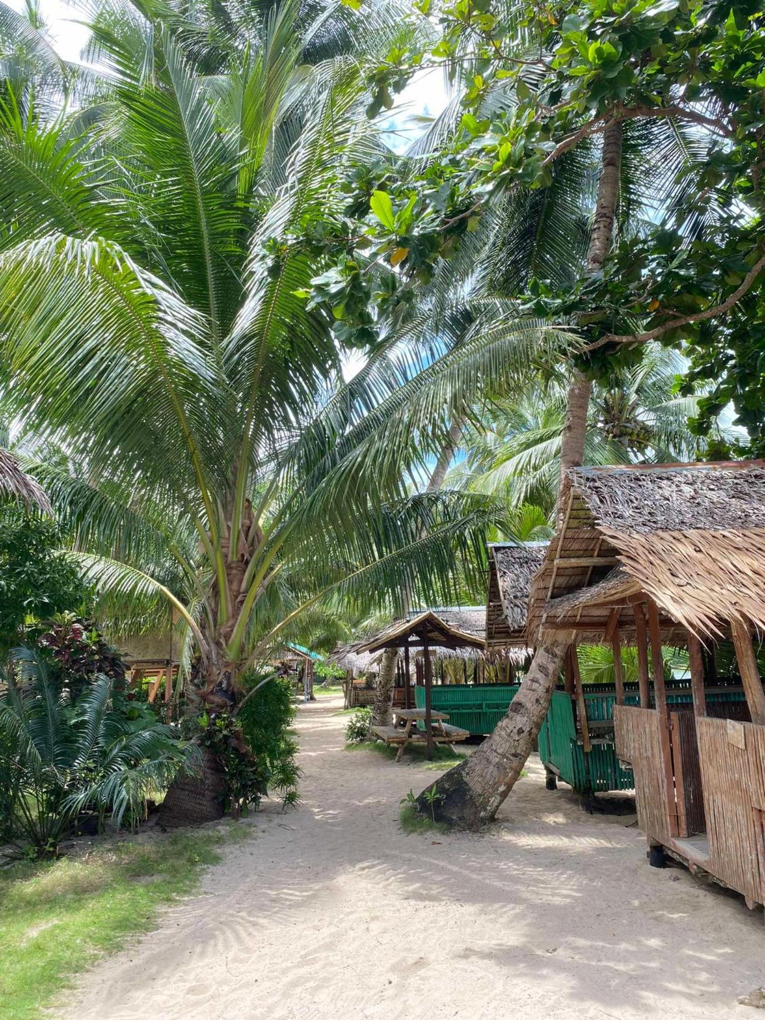 Ocam Ocam Open Sea View Cottages New Busuanga Dış mekan fotoğraf